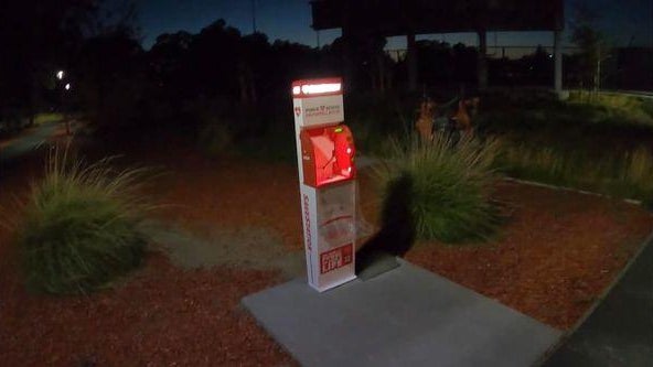 287784777-5620938657930661-6211163699762779012-n.jpg 