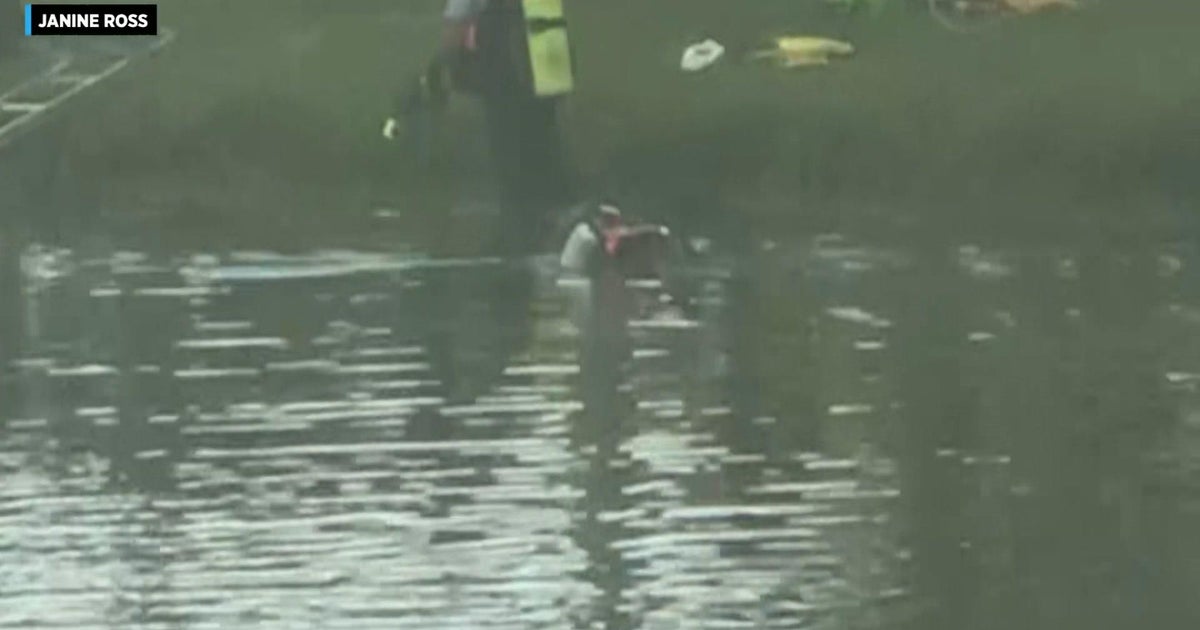Davie man drowns trying to save pet parrot that flew into retention pond