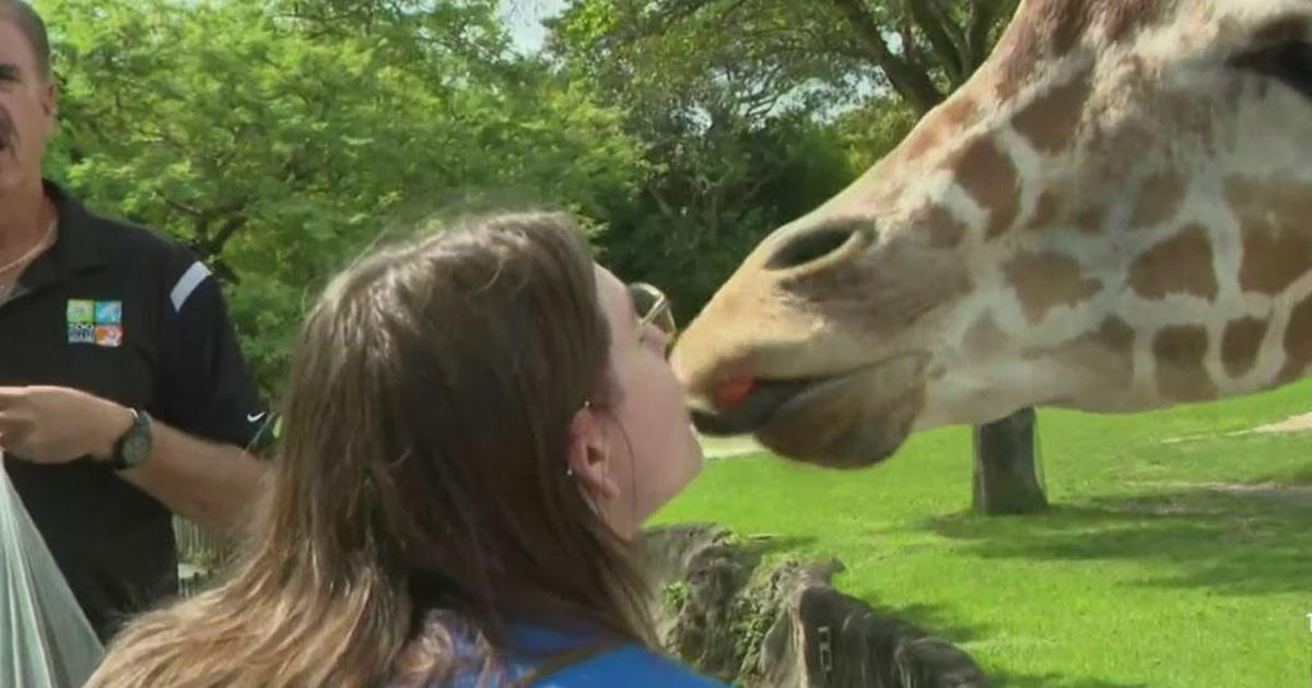 Teen battling brain tumor granted ‘Wish’ at Zoo Miami