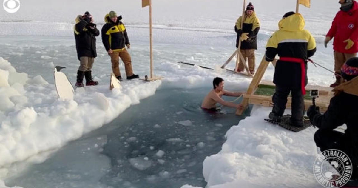Antarctic expeditioners plunge into icy water for mid-winter swim