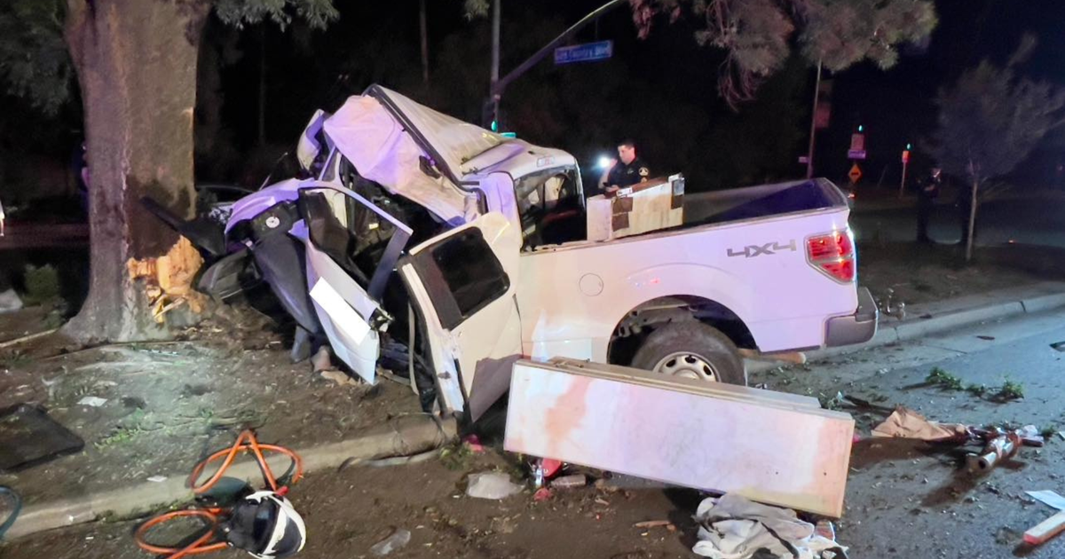 Vehicle Collision Into Tree Over The Weekend Left 1 Dead, 1 Seriously