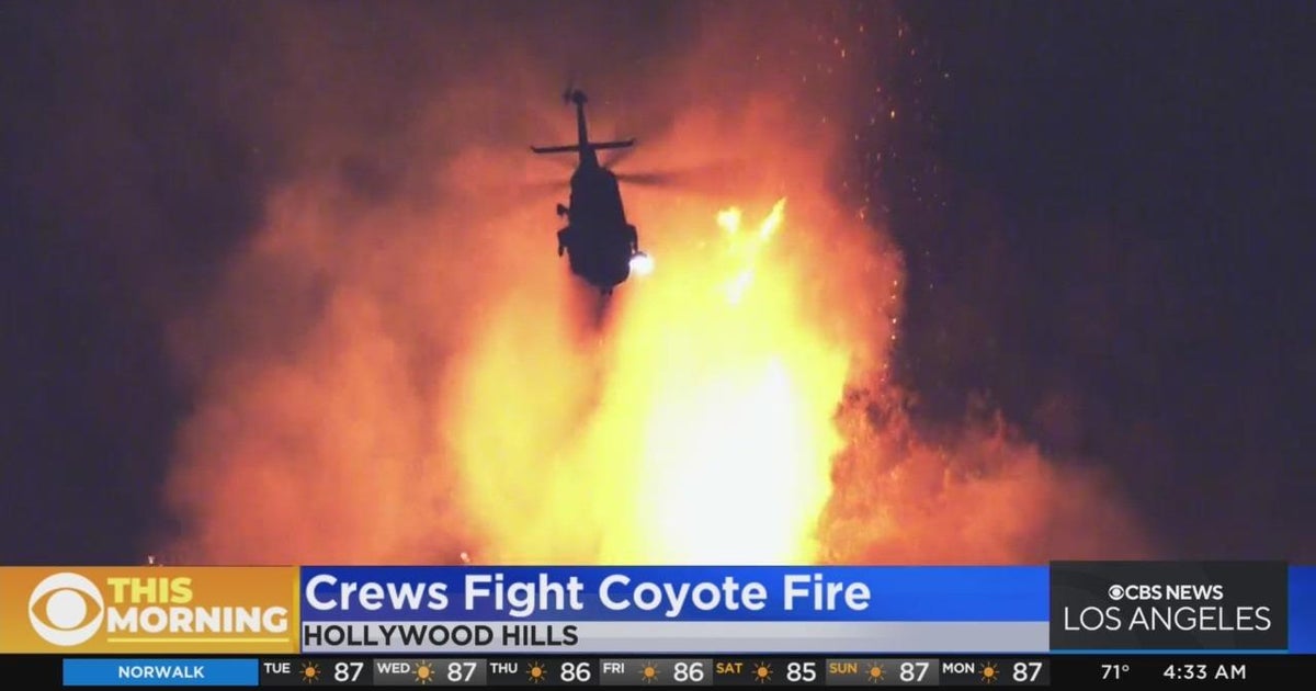 LAFD contains Coyote Fire in Hollywood Hills, nearby Universal Studios