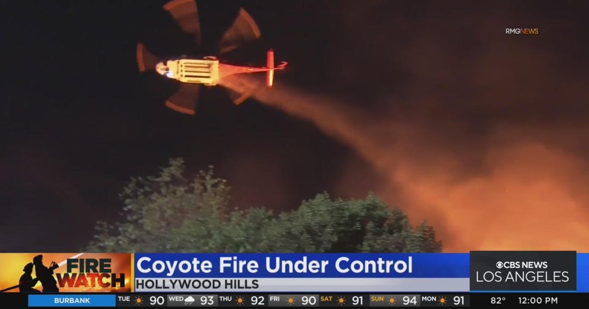 Residents react to Coyote Fire in Hollywood Hills CBS Los Angeles