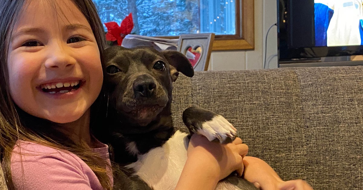 Hero dog 'Lady' dies protecting kids from mountain lion in Idaho