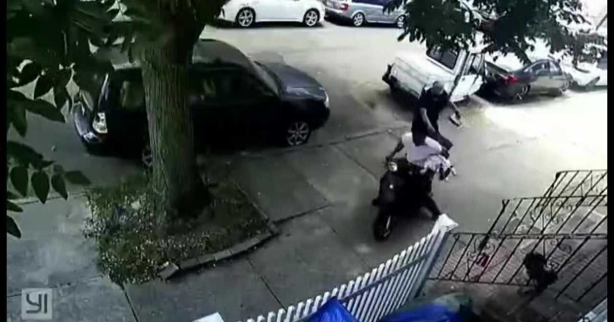 Stolen dog "Off-White" recovered after brazen theft caught on camera - Vimarsana News