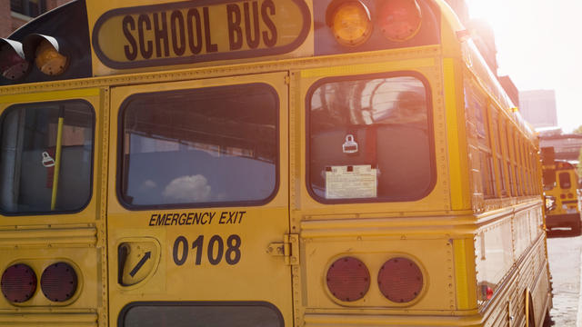 Rear view of yellow school buses, New York, USA 