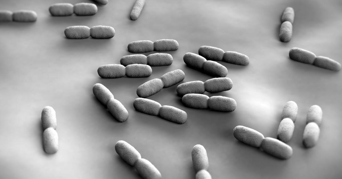 CDC New listeria outbreak tied to 23 illnesses, 1 death CBS Boston