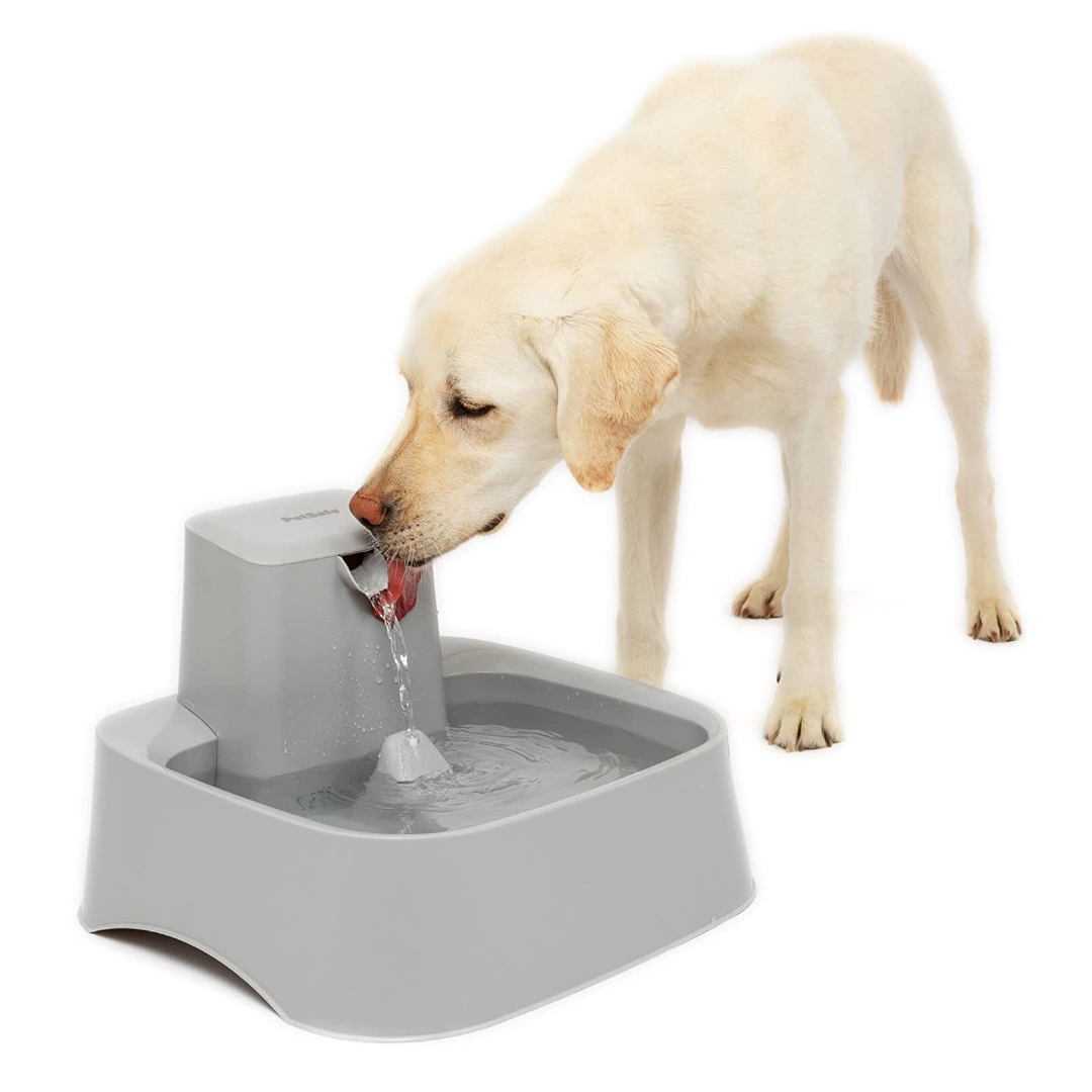 petsafedrinkwell.png 