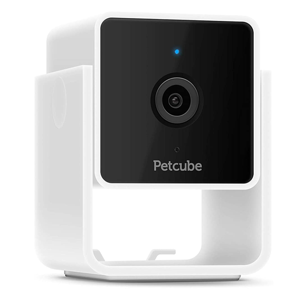 GamerCityNews petcube The best New Year's deals at Amazon you can still shop 