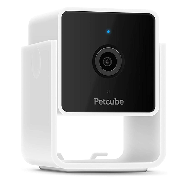 petcube.png 