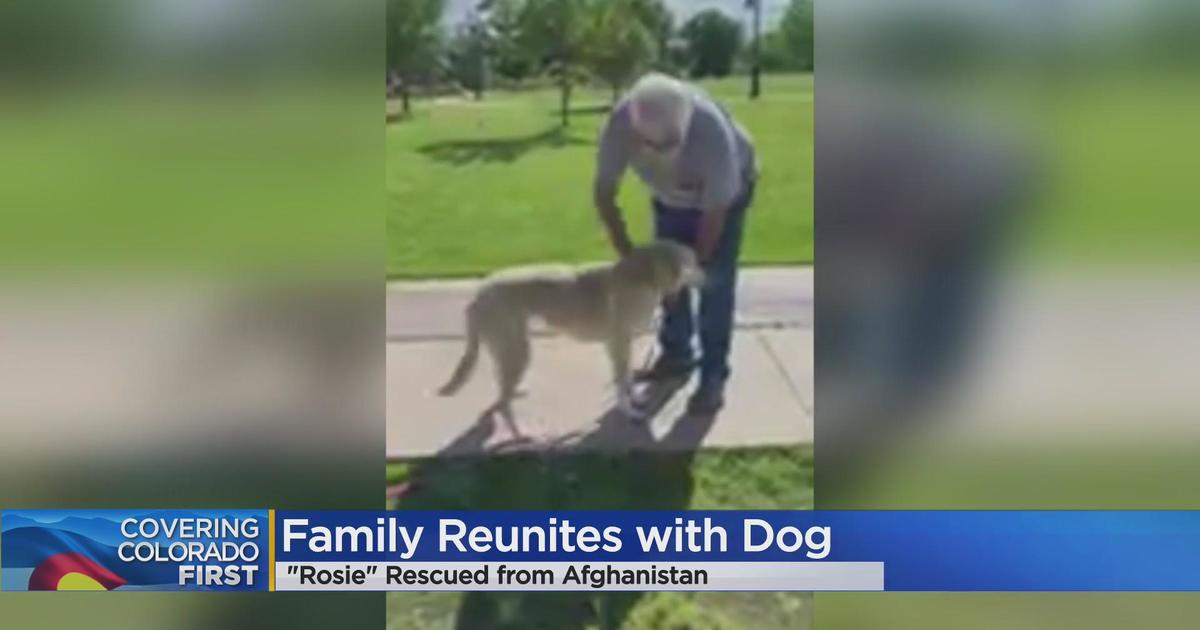 Colorado family waited 1 year to reunite with Rosie, the dog