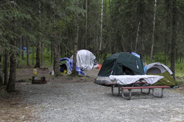 4 bears killed after stealing food from tents at Alaska campground reserved for people who are homeless