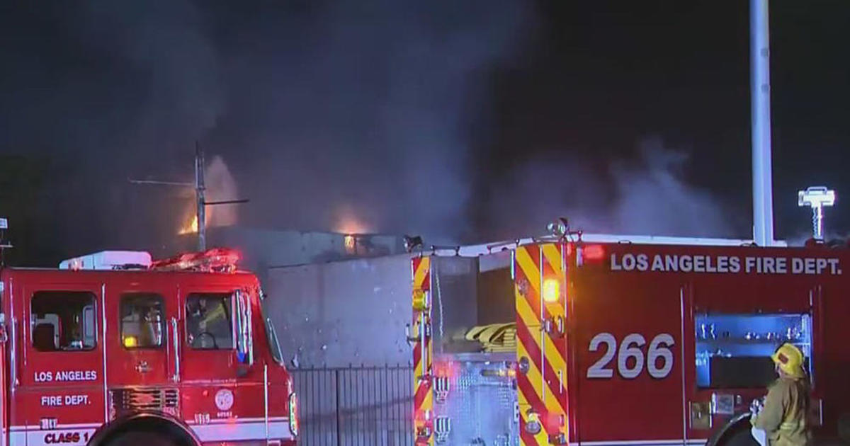 Dozens Of Firefighters Battle Blaze At Vacant South Los Angeles ...