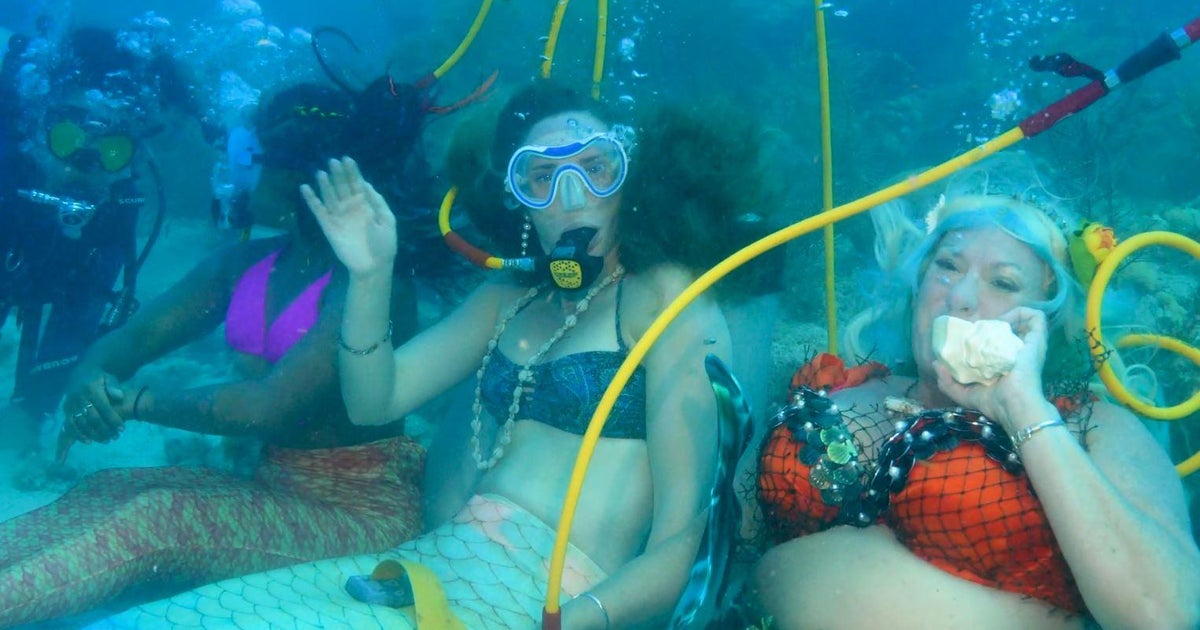 Keys’ Underwater Music Festival encourages reef protection