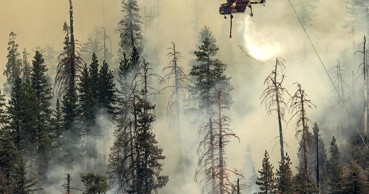 Wildfire near Yosemite grows to over 1,500 acres, threatening sequoia trees
