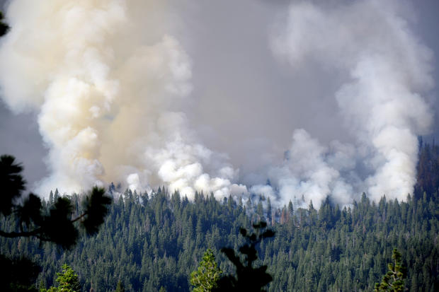 Wildfire in Yosemite National Park 