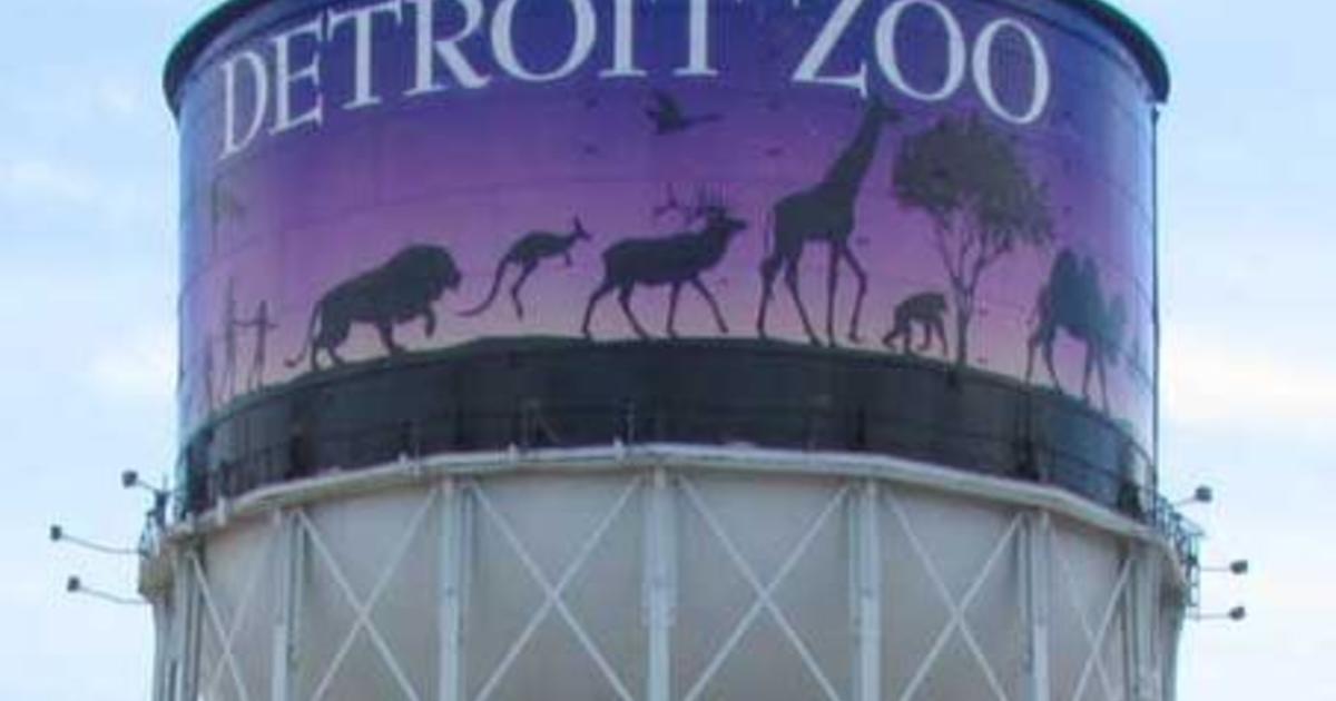 Detroit Zoo to host afterhours "Spooky Spirits" event for adults CBS