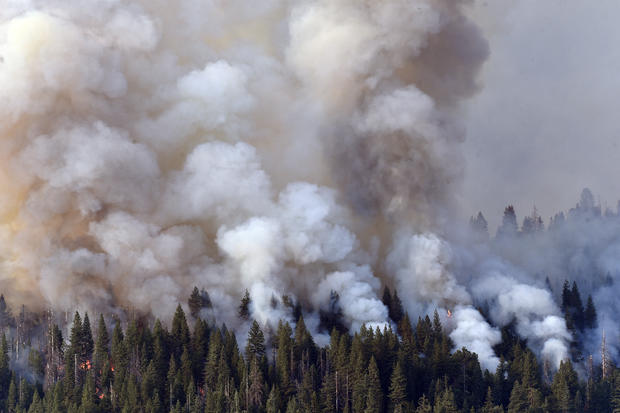 Wildfire in Yosemite National Park 