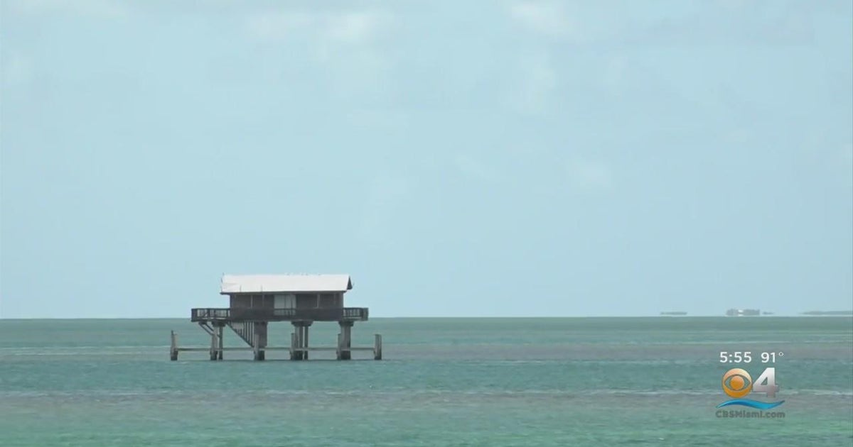 Miami Dolphins tour Stiltsville to learn and celebrate South Florida’s rich history