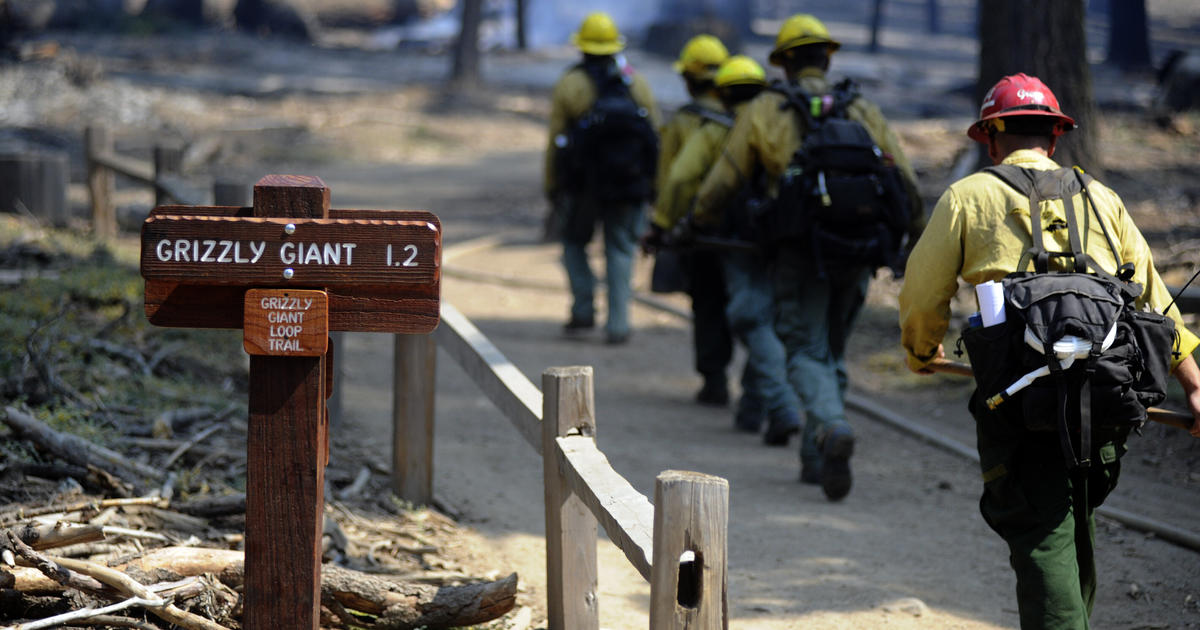 Firefighters Gaining Ground In Fight To Protect Yosemites Giant Sequoias Fire Believed To Be 