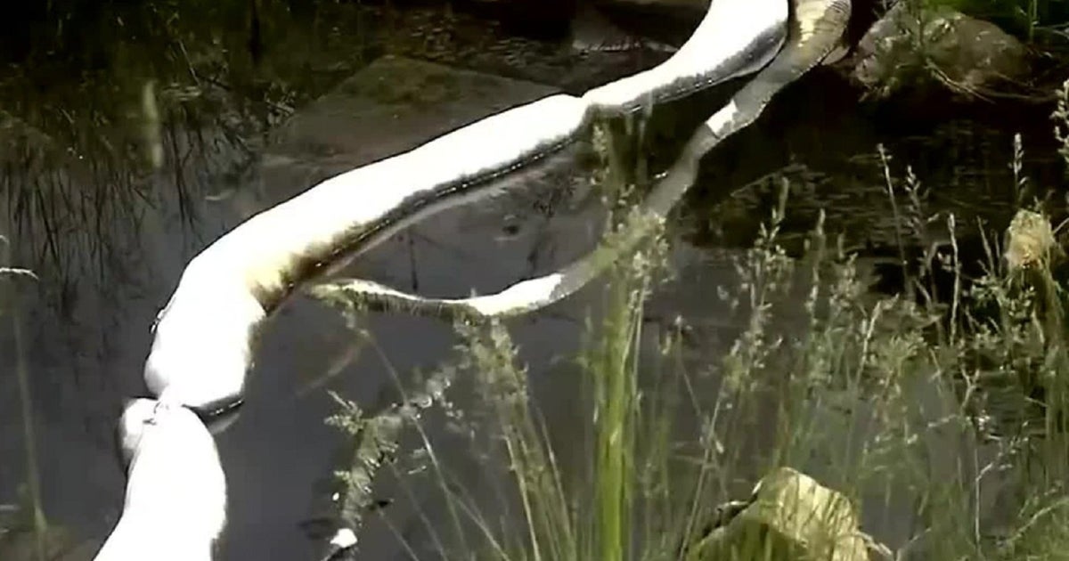 Chemical company director to stand trial for 2022 Flint River oil spill 