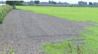 Historic drought in Italy threatens pasta 