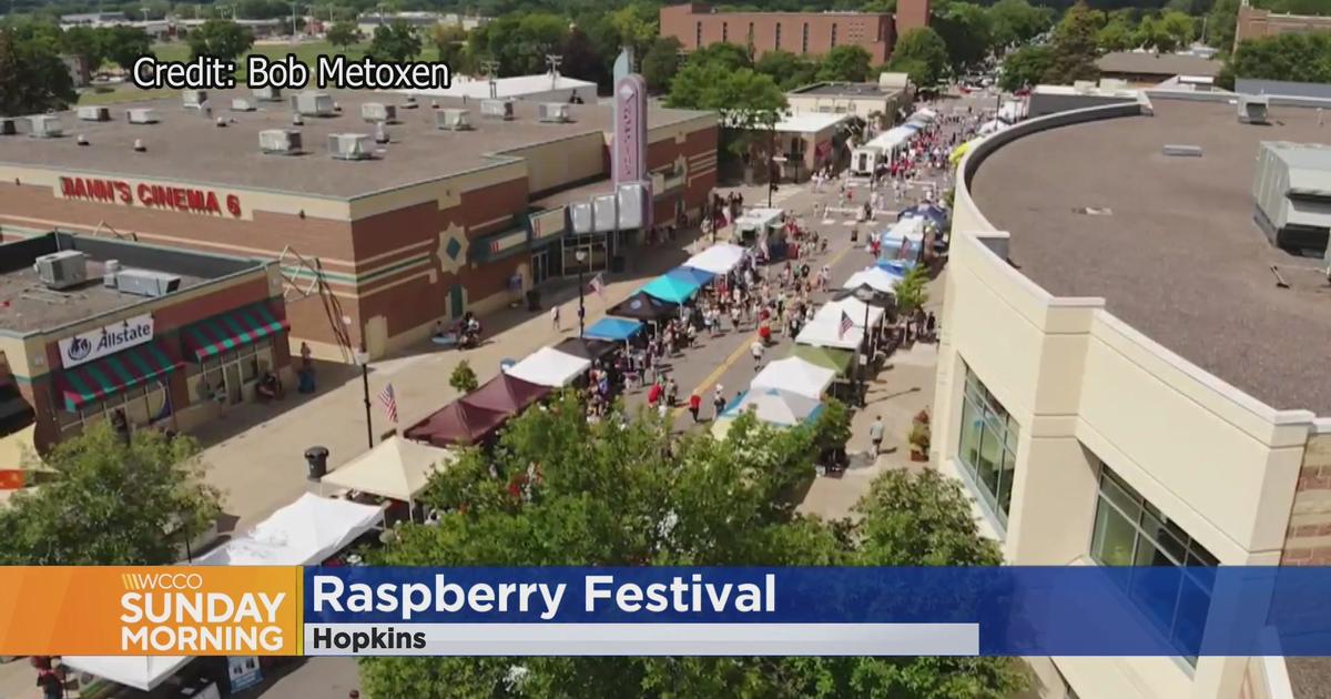 Get picking at Hopkins raspberry festival CBS Minnesota