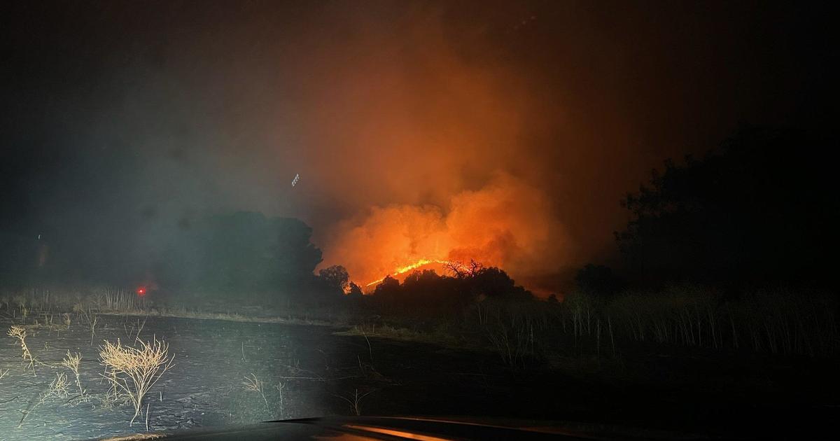 Vegetation fires burn 11 acres in Pittsburg overnight