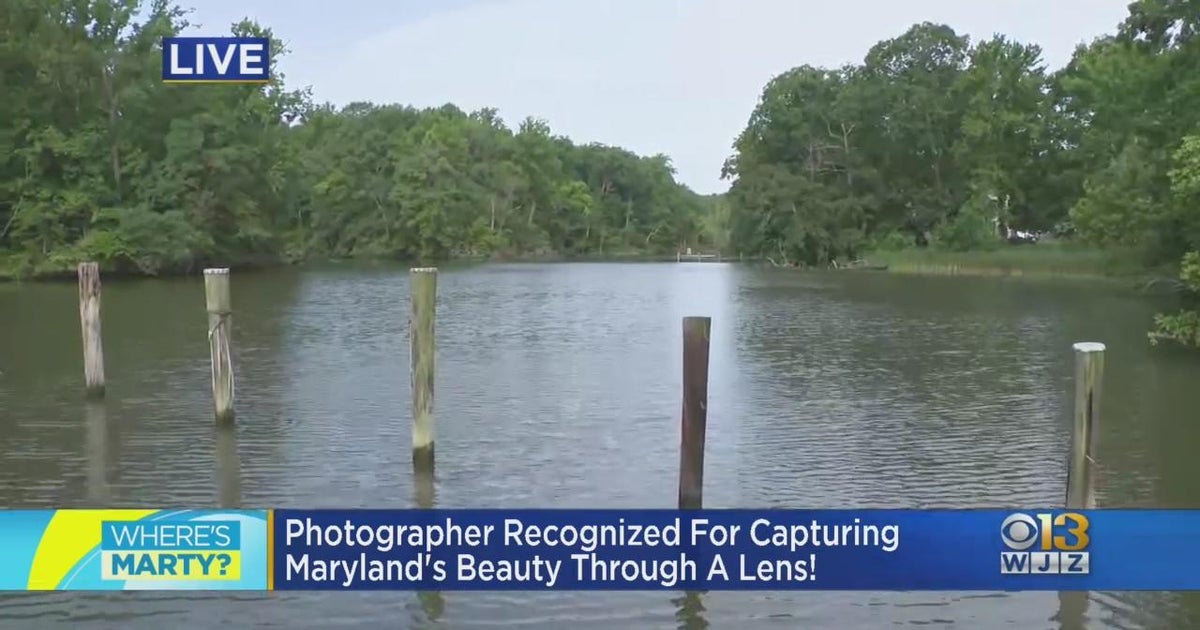 Where's Marty? Meeting photographer Peter Turcik at Mallows Bay - Vimarsana News