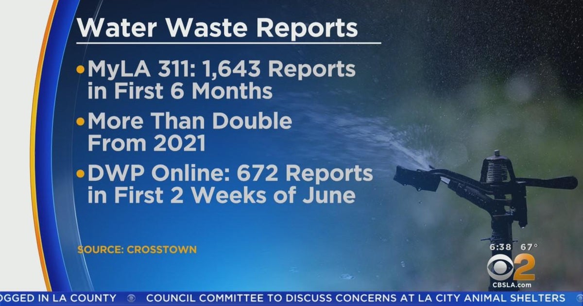 MyLA311, LADWP flooded with reports of water waste CBS Los Angeles