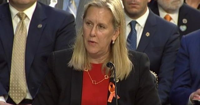 Highland Park Mayor addresses Senate Judiciary Committee about gun ...