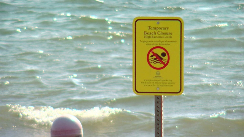 Four Minneapolis beaches close due to elevated E. coli levels