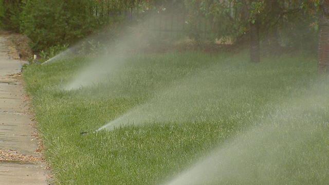 lawn-grass-sprinkler-generic.jpg 