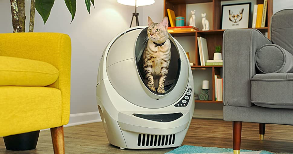 litter-robot-and-more-the-best-automatic-litter-boxes-you-can-buy-for