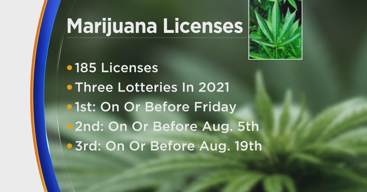 185 new marijuana dispensary licenses to be issued starting Friday