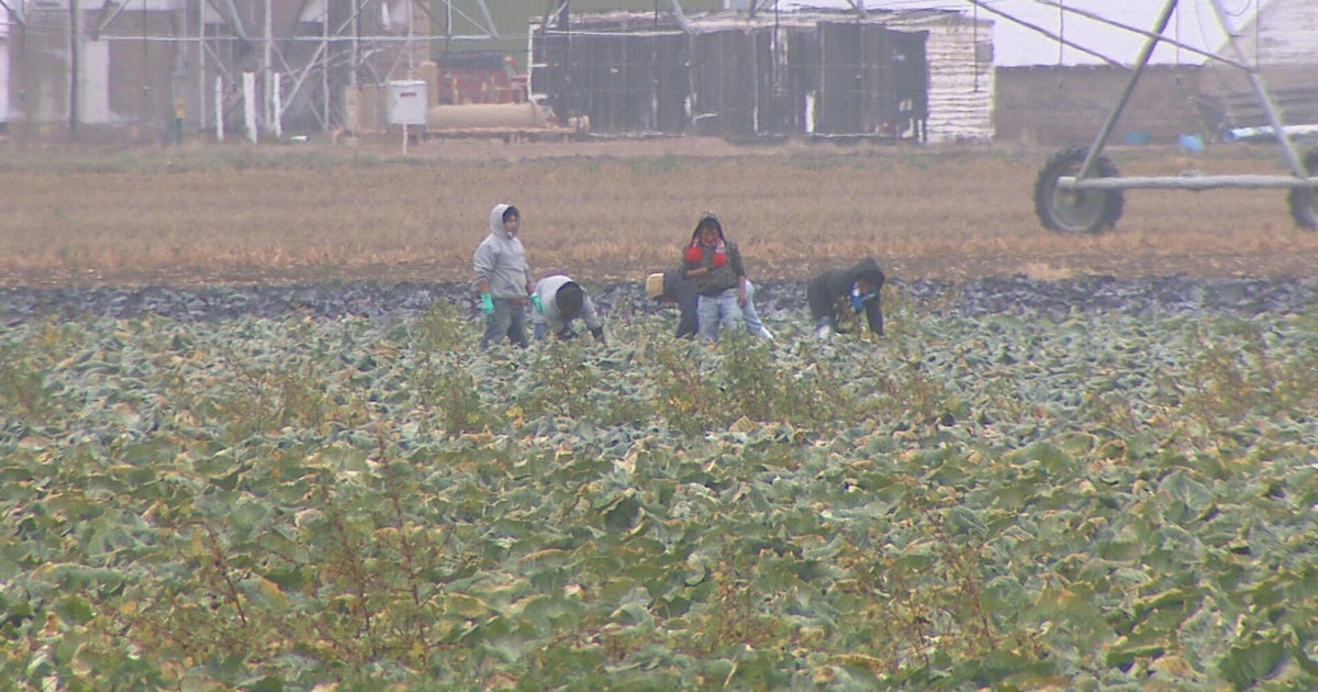 Issue grows in excess of immigration monthly bill transferring in the Florida Legislature