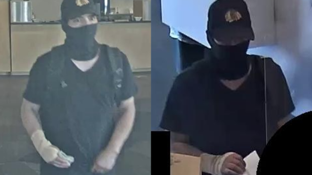 bank-robber-collage.png 