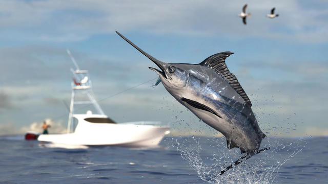 Big game fishing time, big swordfish marlin  jumped hooked by sport fishing angler, fishing boat 3d render 