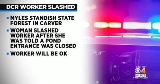 DCR employee slashed in the face by woman at Myles Standish State ...