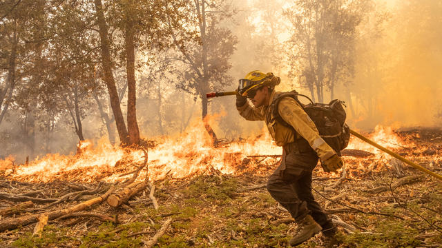 Wildfire Near Yosemite National Park Explodes In Size 