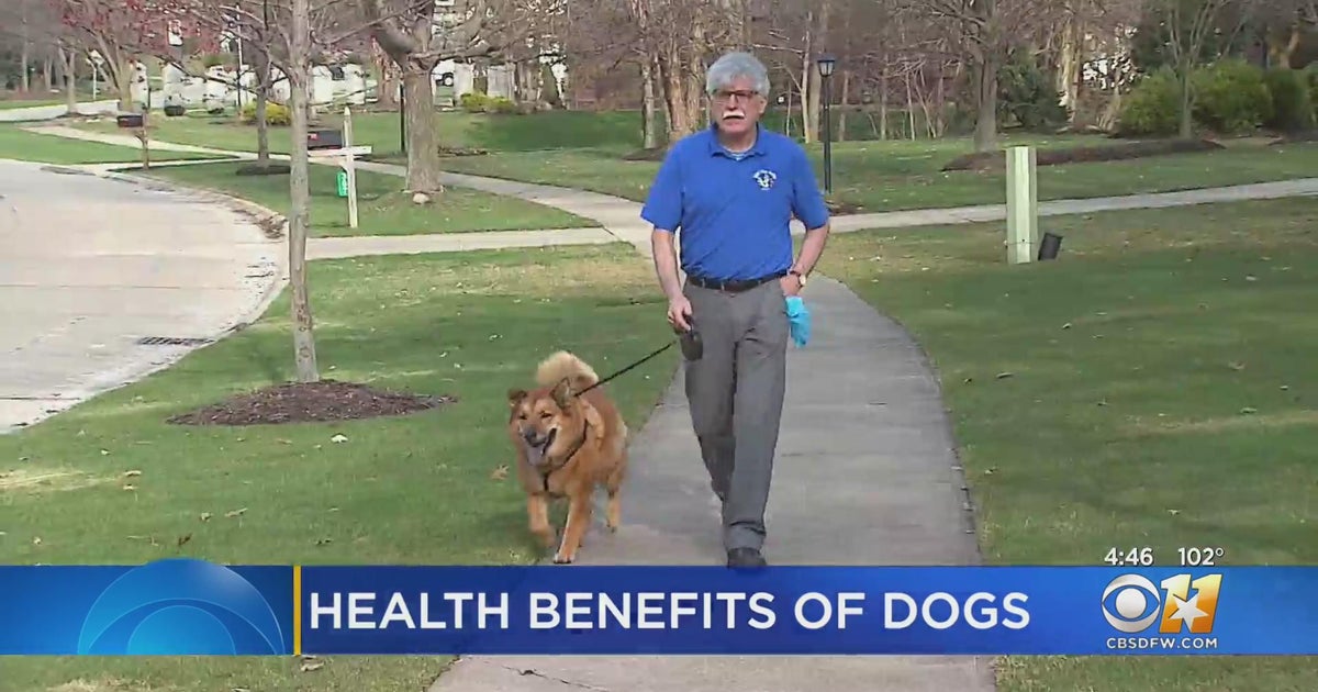 Being a dog owner offers many physical, emotional health benefits CBS