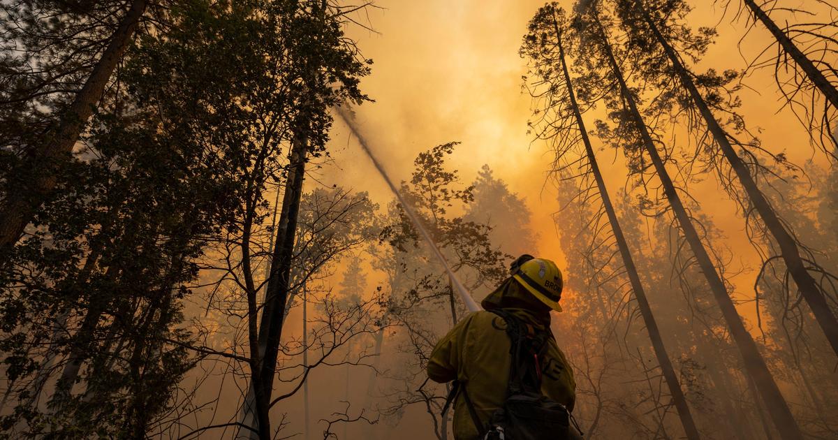 Wildfires scorching the West Coast are a growing risk for homeowners nationwide
