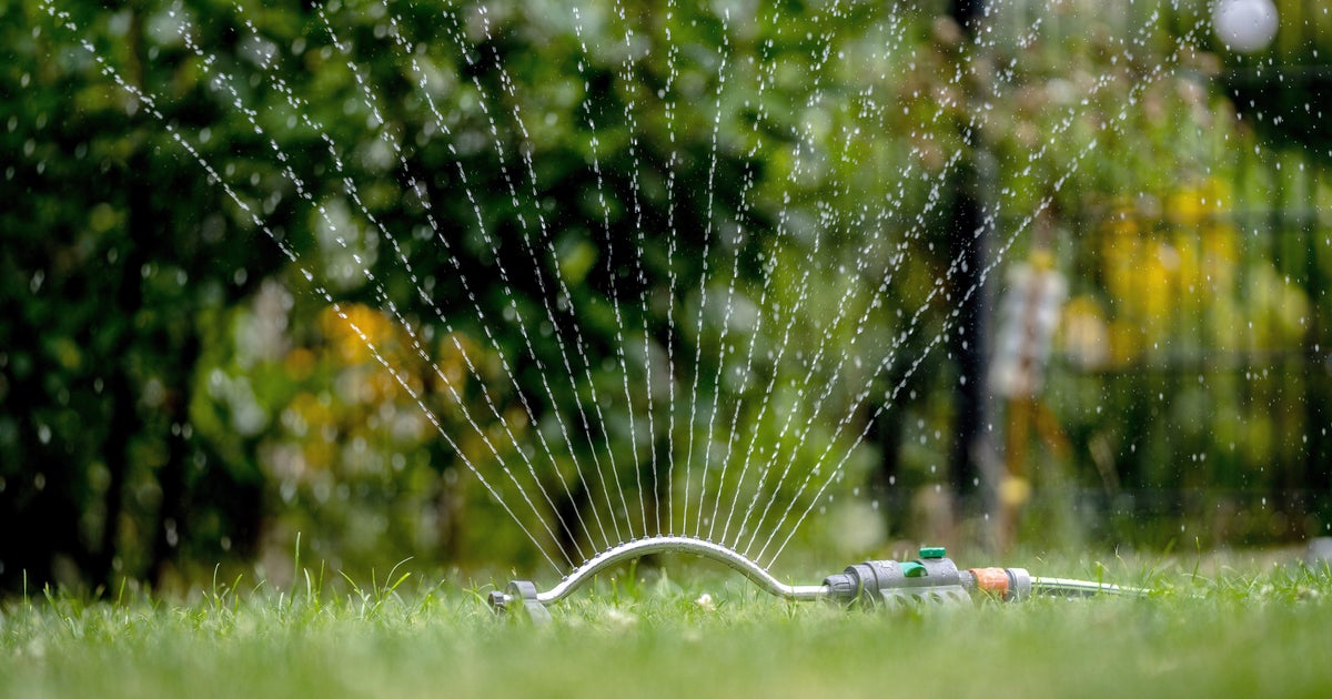 Water bans more common in Massachusetts as drought worsens CBS