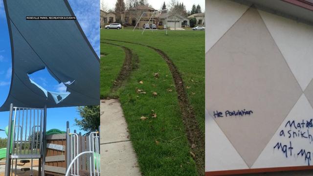 roseville-parks-vandalism.jpg 