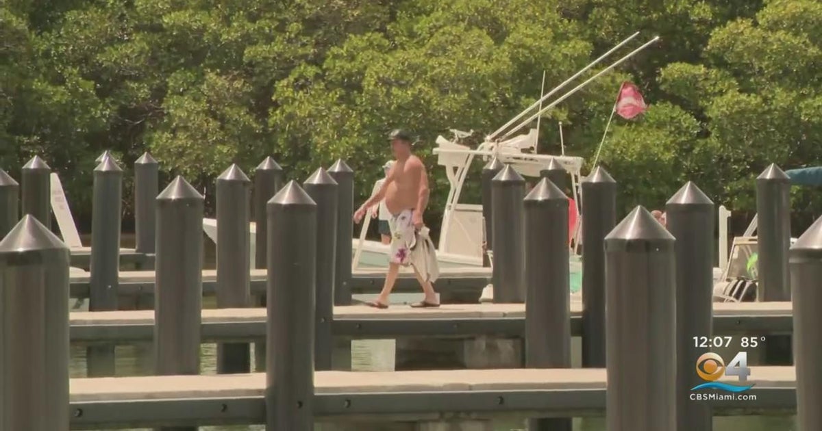 Busy lobster mini-season underway after stormy start