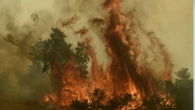 cbsn-fusion-wildlife-conservation-worker-on-california-wildfire-this-is-the-scariest-thumbnail-1155177-640x360.jpg 