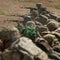 Former U.S. servicemen train Ukrainian army recruits