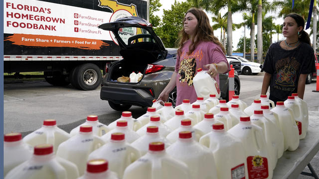 Food Distribution Miami 