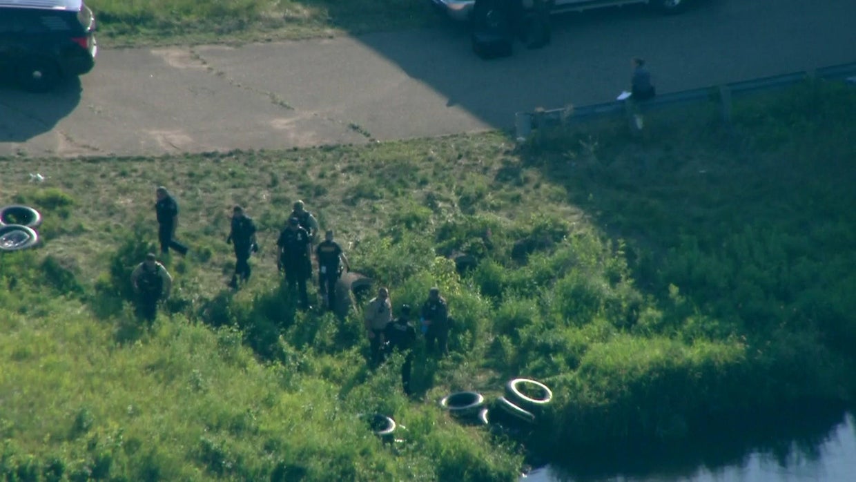 Nicolae Miu, of Prior Lake, charged in Apple River stabbings that left