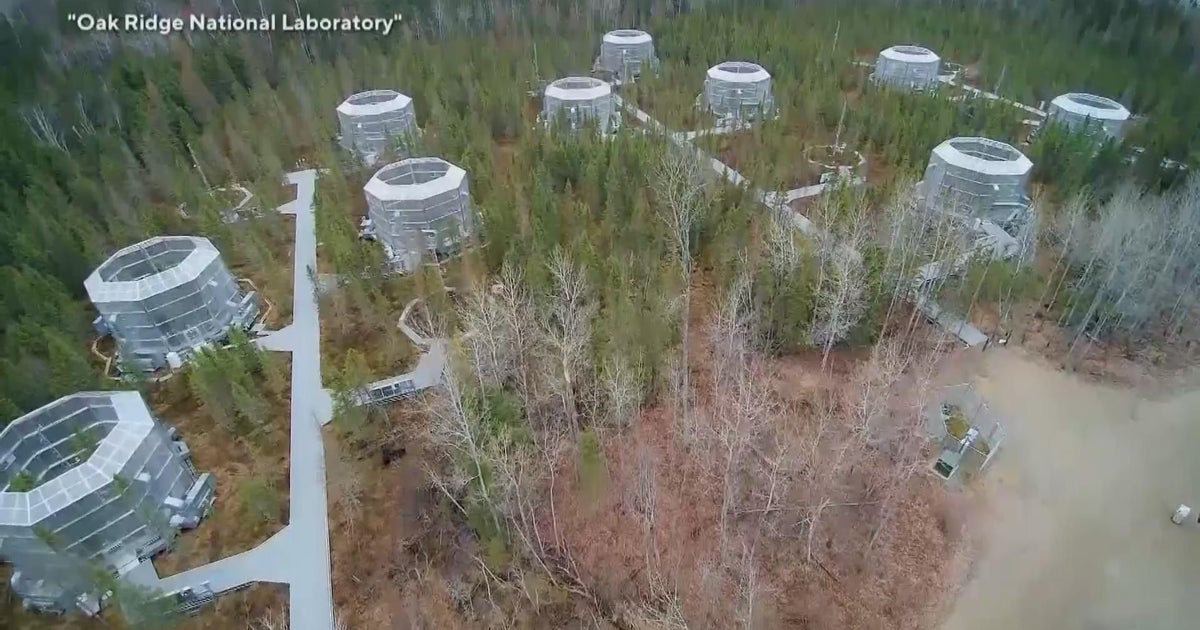 Minnesota’s climate change time machine - CBS Minnesota